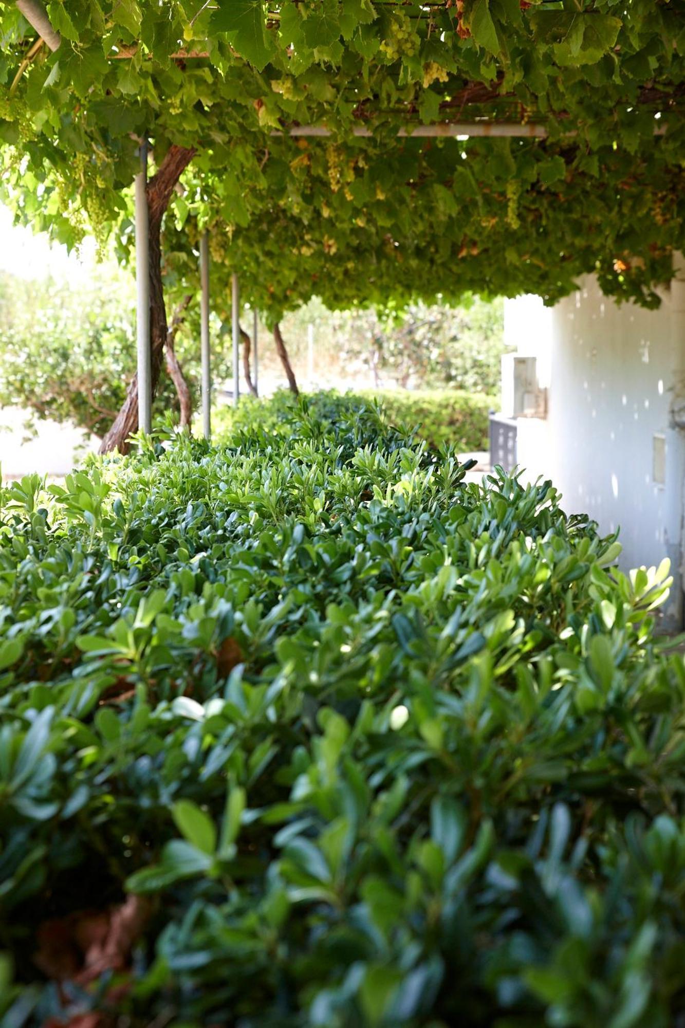 Elea Terra Hotel Matala  Exterior photo